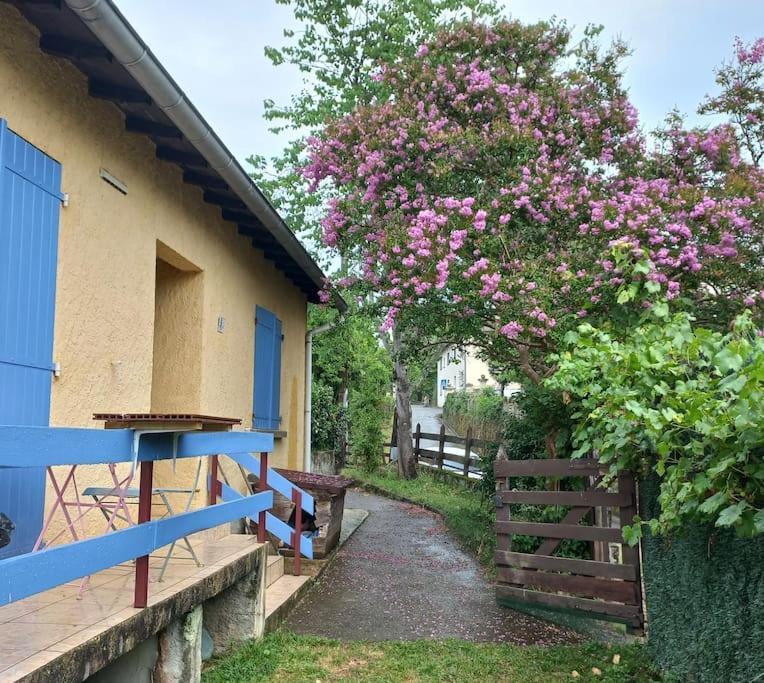 Maison Au Pied De La Montagne Aspet Luaran gambar