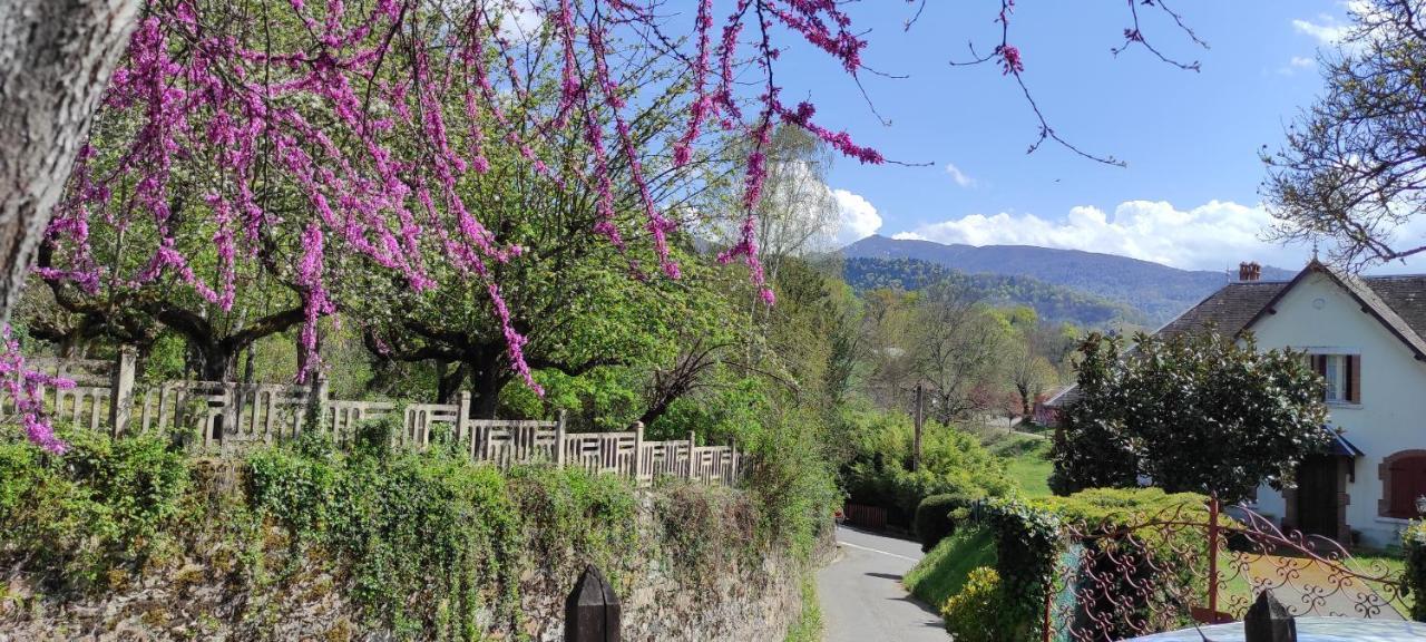 Maison Au Pied De La Montagne Aspet Luaran gambar